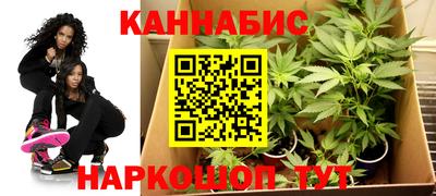 индика Норильск