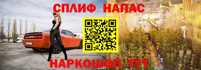 стаф Малоярославец