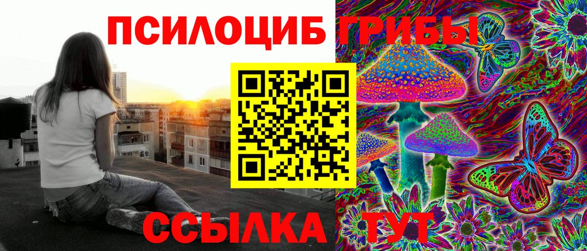 Псилоцибиновые грибы мицелий  Вход с VPN  Кирово-Чепецк 